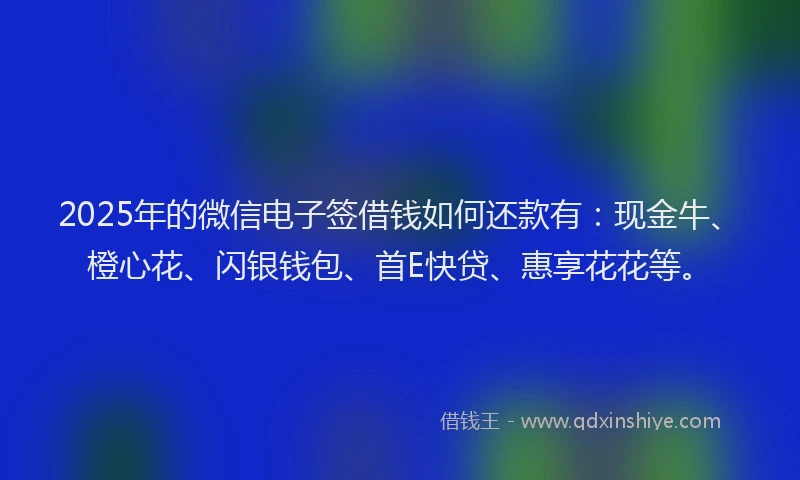 2025年的微信电子签借钱如何还款有：现金牛、橙心花、闪银钱包、首E快贷、惠享花花等。