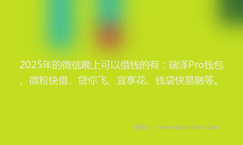 2025年的微信晚上可以借钱的有：瑞泽Pro钱包、微粒快借、贷你飞、宜享花、钱袋快易融等。