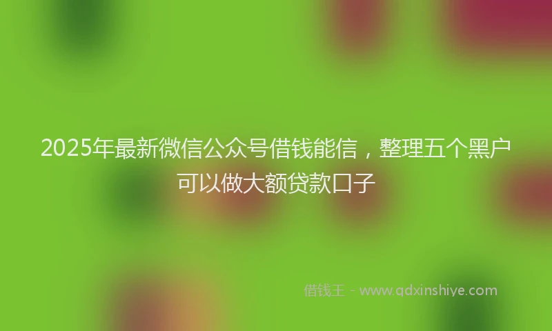 2025年最新微信公众号借钱能信，整理五个黑户可以做大额贷款口子