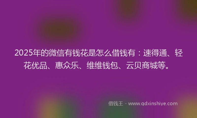 2025年的微信有钱花是怎么借钱有：速得通、轻花优品、惠众乐、维维钱包、云贝商城等。
