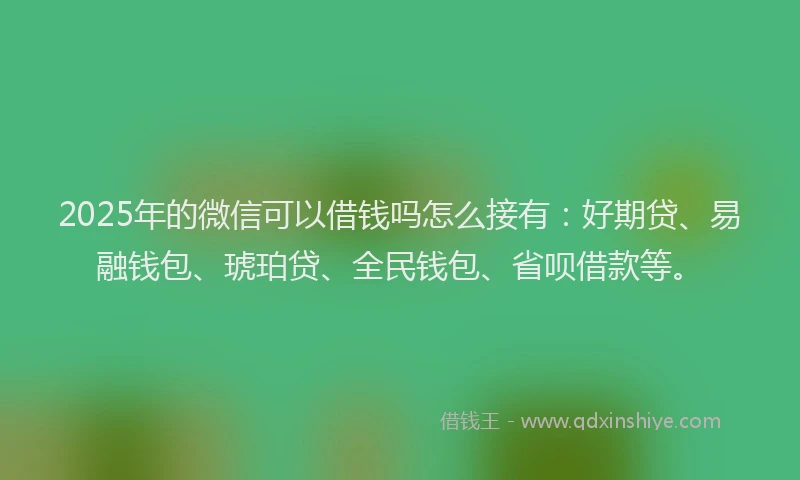 2025年的微信可以借钱吗怎么接有：好期贷、易融钱包、琥珀贷、全民钱包、省呗借款等。