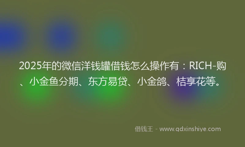 2025年的微信洋钱罐借钱怎么操作有：RICH-购、小金鱼分期、东方易贷、小金鸽、桔享花等。