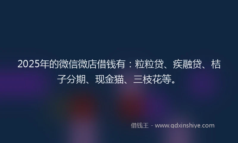 2025年的微信微店借钱有：粒粒贷、疾融贷、桔子分期、现金猫、三枝花等。