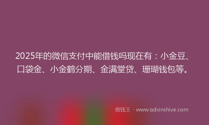 2025年的微信支付中能借钱吗现在有：小金豆、口袋金、小金鹤分期、金满堂贷、珊瑚钱包等。