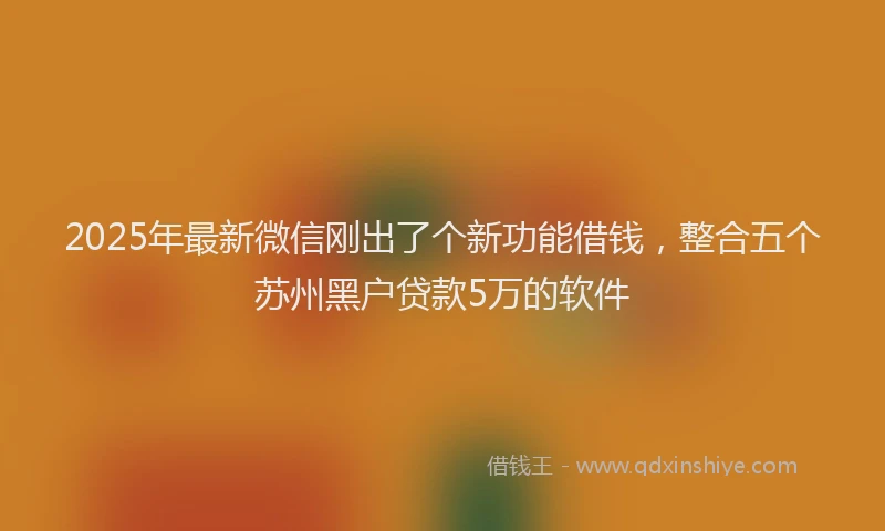 2025年最新微信刚出了个新功能借钱，整合五个苏州黑户贷款5万的软件