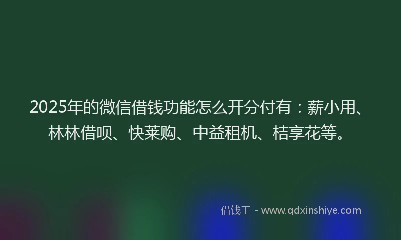 2025年的微信借钱功能怎么开分付有：薪小用、林林借呗、快莱购、中益租机、桔享花等。