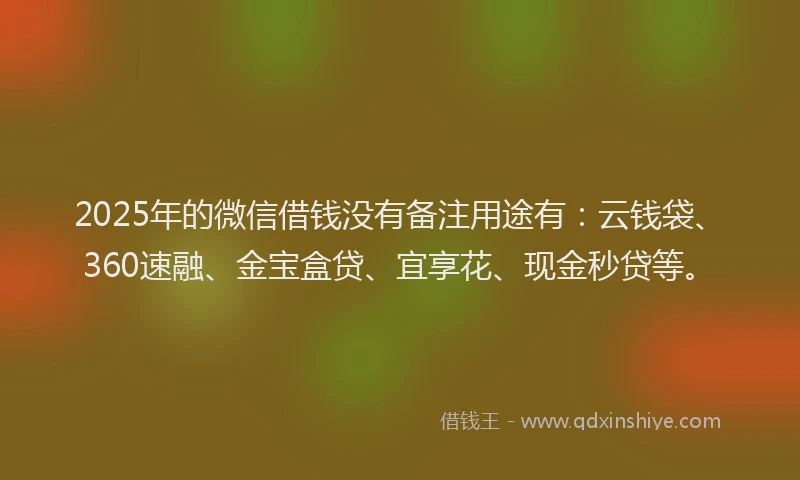 2025年的微信借钱没有备注用途有：云钱袋、360速融、金宝盒贷、宜享花、现金秒贷等。