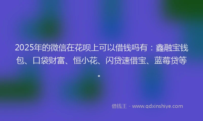2025年的微信在花呗上可以借钱吗有：鑫融宝钱包、口袋财富、恒小花、闪贷速借宝、蓝莓贷等。