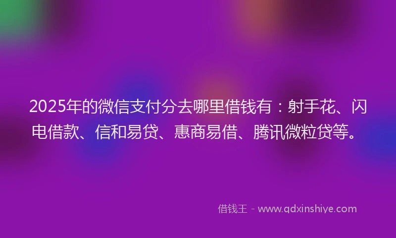 2025年的微信支付分去哪里借钱有：射手花、闪电借款、信和易贷、惠商易借、腾讯微粒贷等。