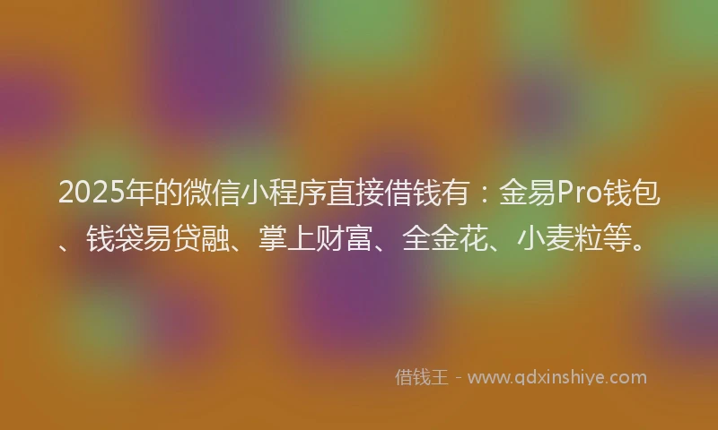 2025年的微信小程序直接借钱有：金易Pro钱包、钱袋易贷融、掌上财富、全金花、小麦粒等。