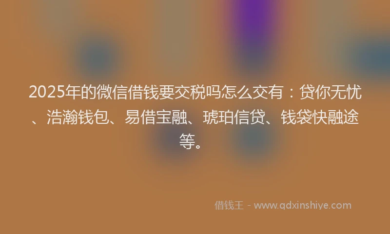2025年的微信借钱要交税吗怎么交有：贷你无忧、浩瀚钱包、易借宝融、琥珀信贷、钱袋快融途等。