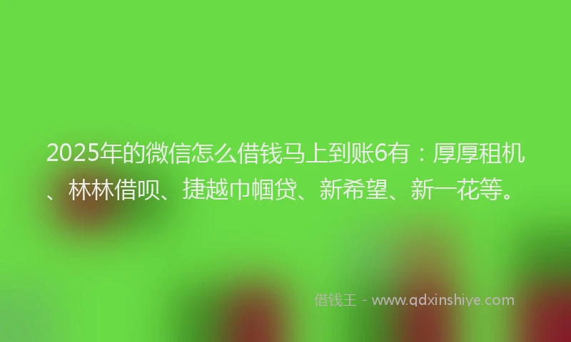 2025年的微信怎么借钱马上到账6有：厚厚租机、林林借呗、捷越巾帼贷、新希望、新一花等。