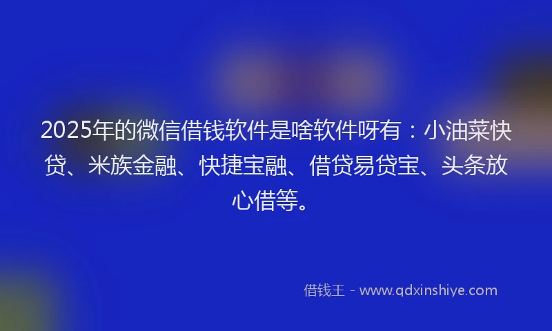 2025年的微信借钱软件是啥软件呀有：小油菜快贷、米族金融、快捷宝融、借贷易贷宝、头条放心借等。