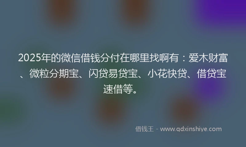 2025年的微信借钱分付在哪里找啊有：爱木财富、微粒分期宝、闪贷易贷宝、小花快贷、借贷宝速借等。