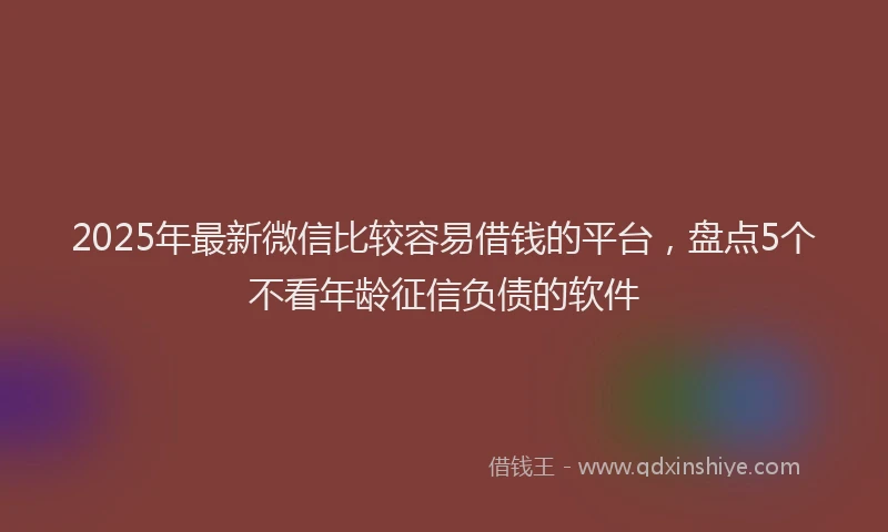 2025年最新微信比较容易借钱的平台，盘点5个不看年龄征信负债的软件