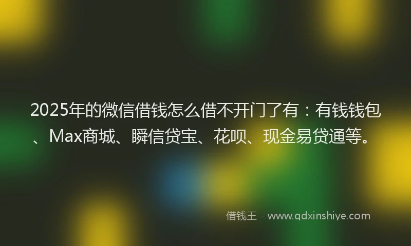 2025年的微信借钱怎么借不开门了有：有钱钱包、Max商城、瞬信贷宝、花呗、现金易贷通等。