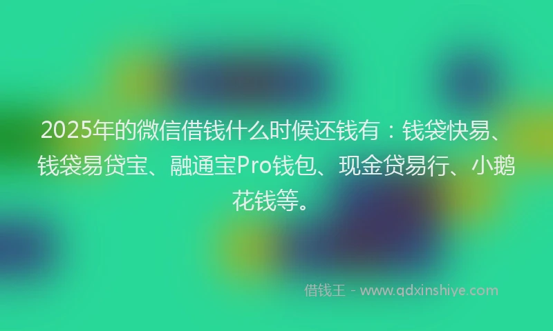 2025年的微信借钱什么时候还钱有：钱袋快易、钱袋易贷宝、融通宝Pro钱包、现金贷易行、小鹅花钱等。