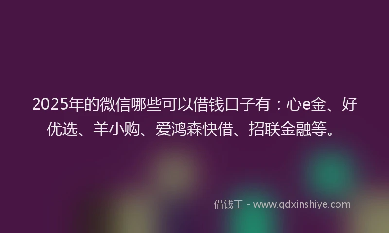 2025年的微信哪些可以借钱口子有：心e金、好优选、羊小购、爱鸿森快借、招联金融等。