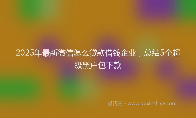 2025年最新微信怎么贷款借钱企业，总结5个超级黑户包下款
