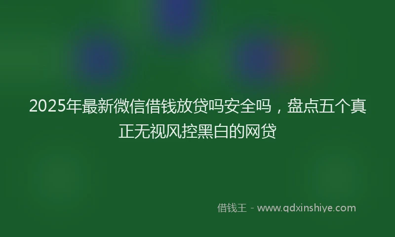 2025年最新微信借钱放贷吗安全吗，盘点五个真正无视风控黑白的网贷