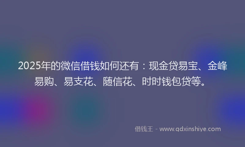 2025年的微信借钱如何还有：现金贷易宝、金峰易购、易支花、随信花、时时钱包贷等。