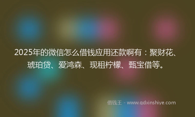 2025年的微信怎么借钱应用还款啊有：聚财花、琥珀贷、爱鸿森、现租柠檬、甄宝借等。