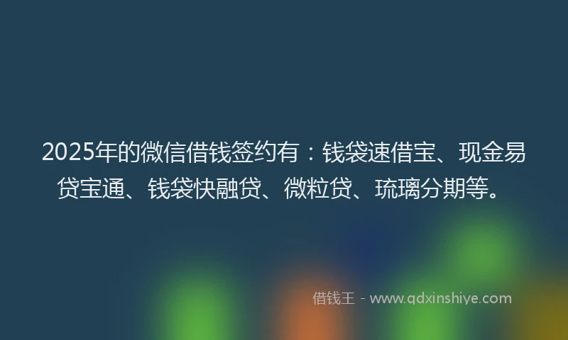 2025年的微信借钱签约有：钱袋速借宝、现金易贷宝通、钱袋快融贷、微粒贷、琉璃分期等。