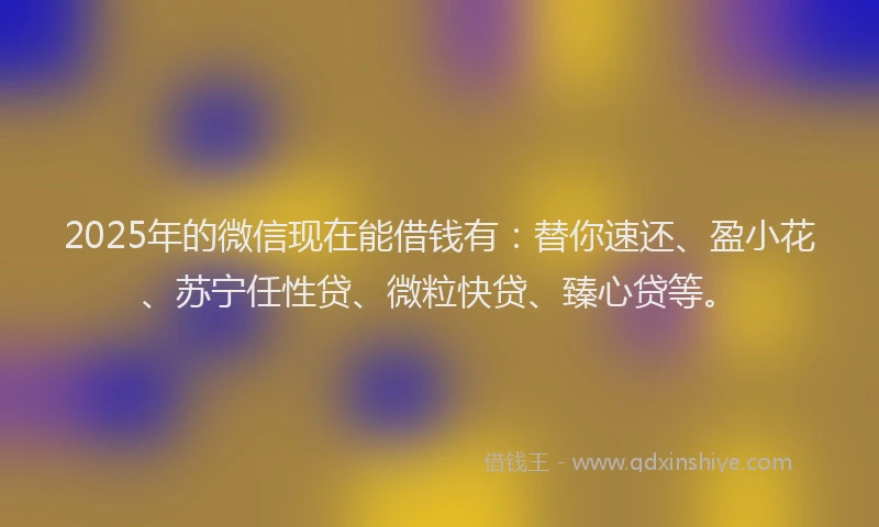 2025年的微信现在能借钱有：替你速还、盈小花、苏宁任性贷、微粒快贷、臻心贷等。