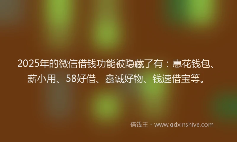 2025年的微信借钱功能被隐藏了有：惠花钱包、薪小用、58好借、鑫诚好物、钱速借宝等。