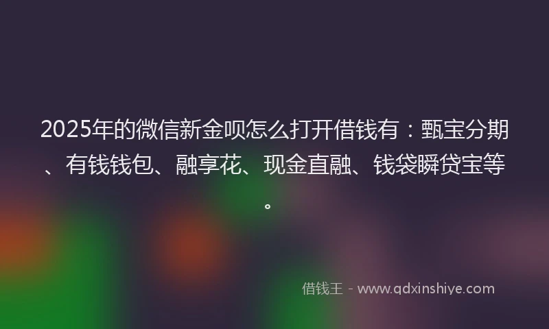 2025年的微信新金呗怎么打开借钱有：甄宝分期、有钱钱包、融享花、现金直融、钱袋瞬贷宝等。