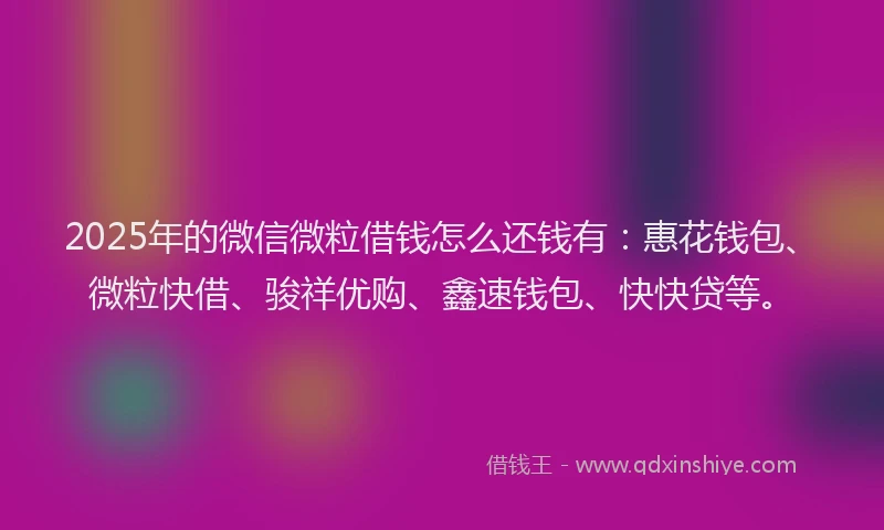 2025年的微信微粒借钱怎么还钱有：惠花钱包、微粒快借、骏祥优购、鑫速钱包、快快贷等。