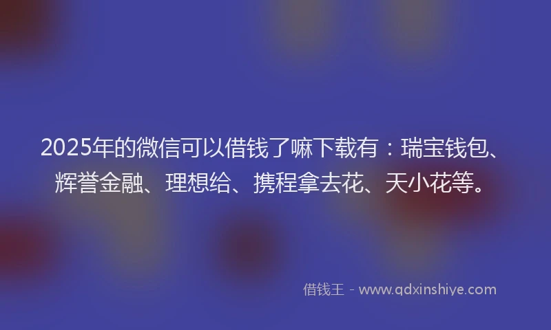 2025年的微信可以借钱了嘛下载有：瑞宝钱包、辉誉金融、理想给、携程拿去花、天小花等。