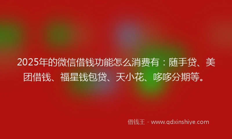 2025年的微信借钱功能怎么消费有：随手贷、美团借钱、福星钱包贷、天小花、哆哆分期等。