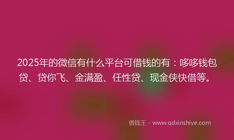 2025年的微信有什么平台可借钱的有：哆哆钱包贷、贷你飞、金满盈、任性贷、现金侠快借等。