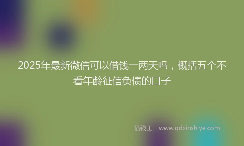 2025年最新微信可以借钱一两天吗，概括五个不看年龄征信负债的口子