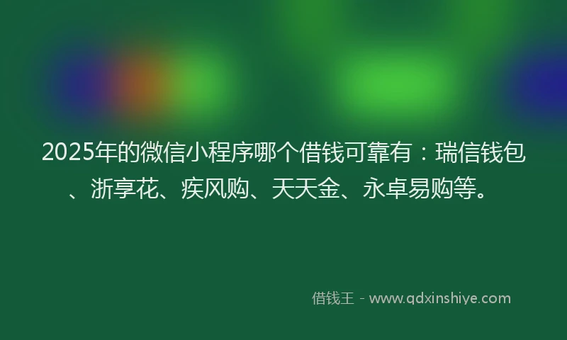 2025年的微信小程序哪个借钱可靠有：瑞信钱包、浙享花、疾风购、天天金、永卓易购等。