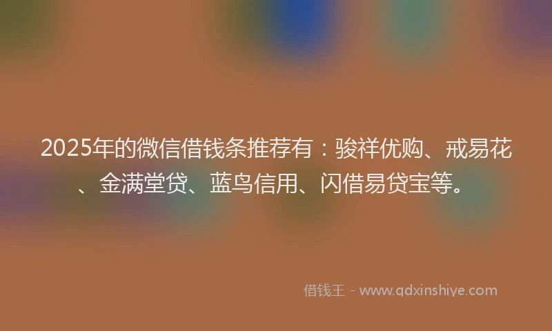 2025年的微信借钱条推荐有：骏祥优购、戒易花、金满堂贷、蓝鸟信用、闪借易贷宝等。