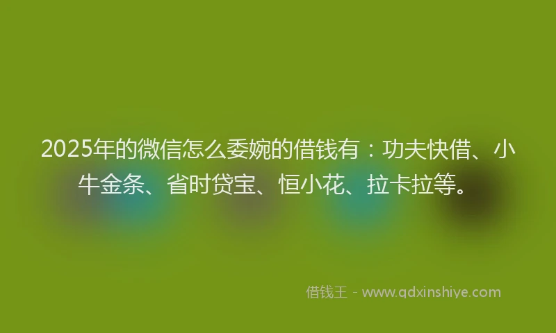 2025年的微信怎么委婉的借钱有：功夫快借、小牛金条、省时贷宝、恒小花、拉卡拉等。