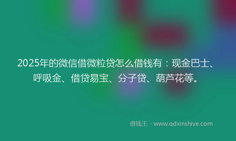 2025年的微信借微粒贷怎么借钱有：现金巴士、呼吸金、借贷易宝、分子贷、葫芦花等。