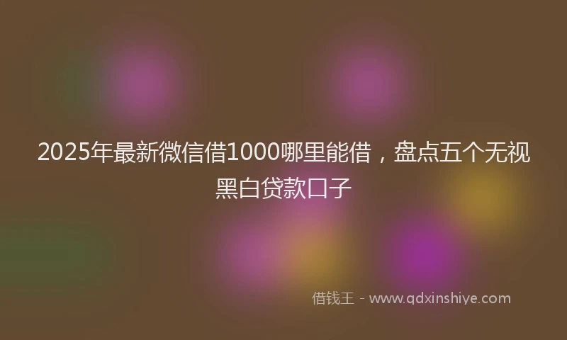 2025年最新微信借1000哪里能借，盘点五个无视黑白贷款口子