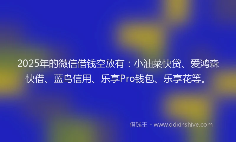 2025年的微信借钱空放有：小油菜快贷、爱鸿森快借、蓝鸟信用、乐享Pro钱包、乐享花等。