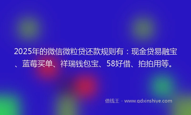 2025年的微信微粒贷还款规则有：现金贷易融宝、蓝莓买单、祥瑞钱包宝、58好借、拍拍用等。