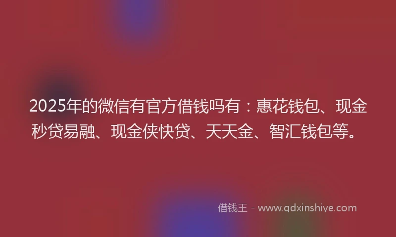 2025年的微信有官方借钱吗有：惠花钱包、现金秒贷易融、现金侠快贷、天天金、智汇钱包等。