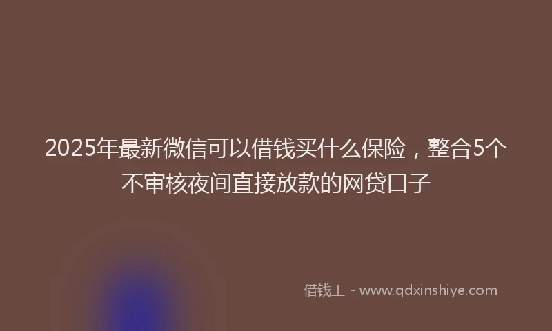 2025年最新微信可以借钱买什么保险，整合5个不审核夜间直接放款的网贷口子