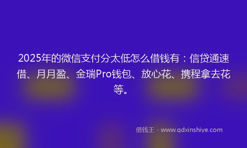 2025年的微信支付分太低怎么借钱有：信贷通速借、月月盈、金瑞Pro钱包、放心花、携程拿去花等。