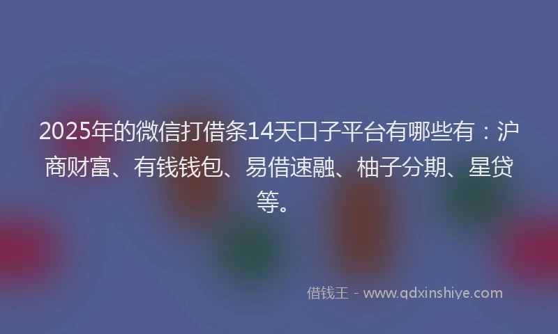 2025年的微信打借条14天口子平台有哪些有：沪商财富、有钱钱包、易借速融、柚子分期、星贷等。