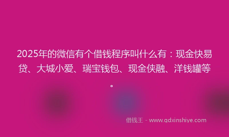 2025年的微信有个借钱程序叫什么有：现金快易贷、大城小爱、瑞宝钱包、现金侠融、洋钱罐等。