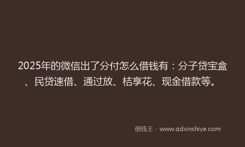 2025年的微信出了分付怎么借钱有：分子贷宝盒、民贷速借、通过放、桔享花、现金借款等。