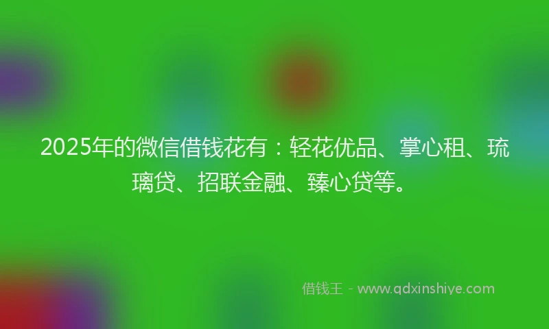 2025年的微信借钱花有：轻花优品、掌心租、琉璃贷、招联金融、臻心贷等。