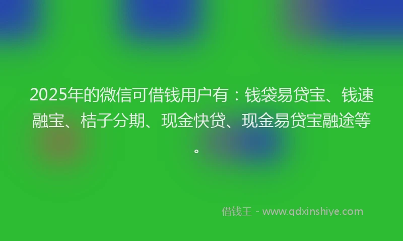 2025年的微信可借钱用户有：钱袋易贷宝、钱速融宝、桔子分期、现金快贷、现金易贷宝融途等。